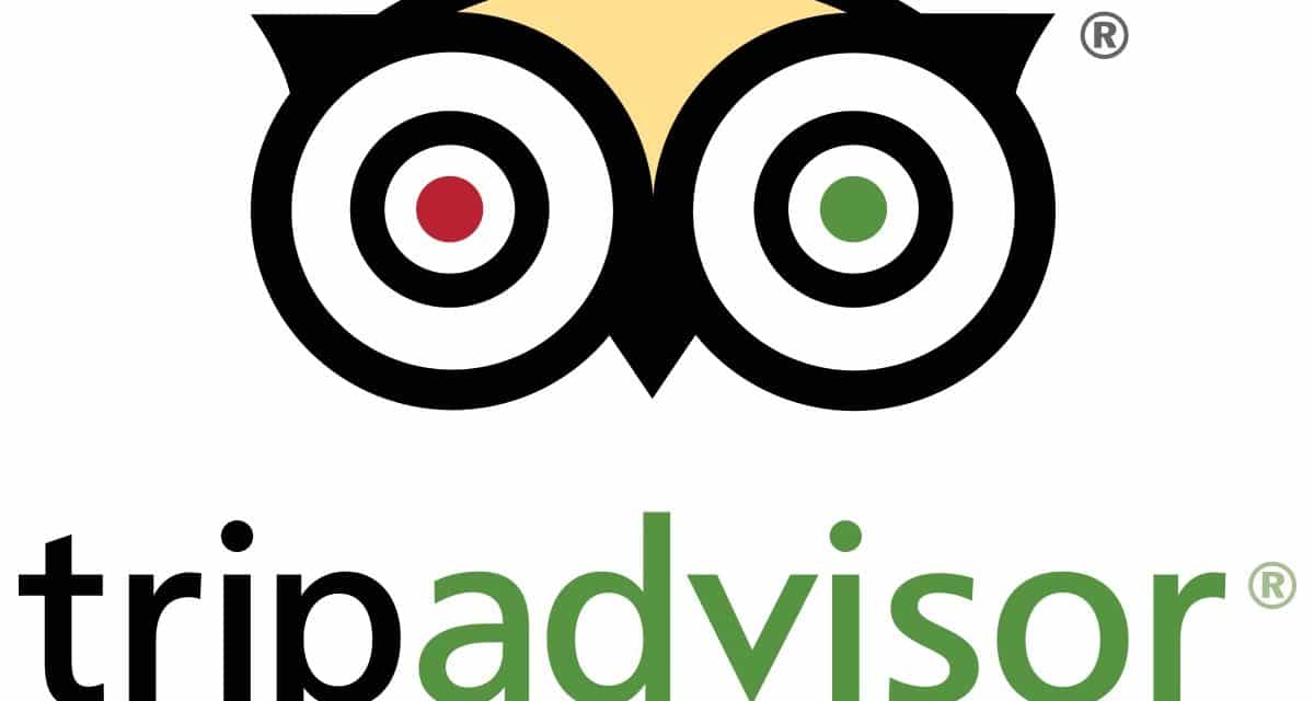 Cómo posicionar tu negocio de Gastronomía en Redes Sociales