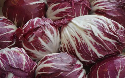 La achicoria roja, un alimento desconocido, con muchas posibilidades