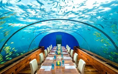 El placer de comer en los restaurantes más raros del mundo
