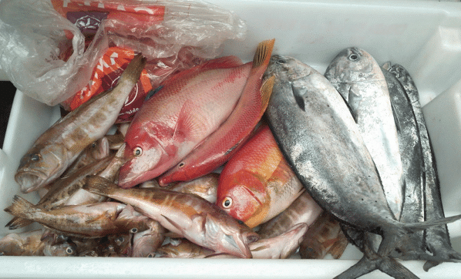 Pescado y marisco