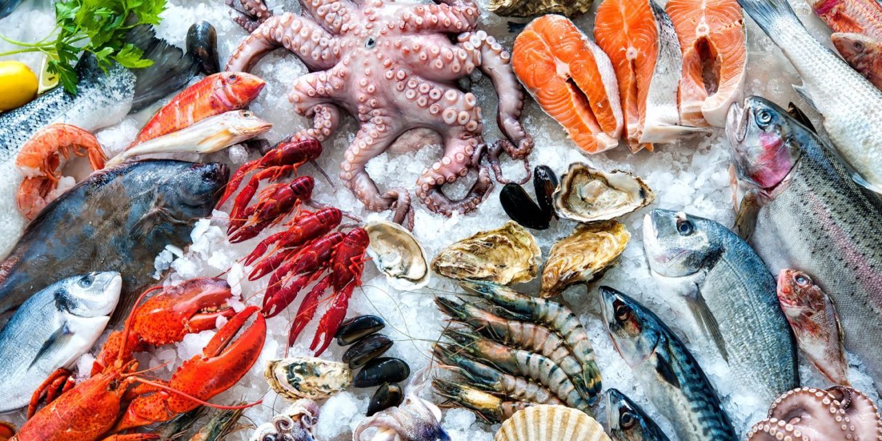 Los mejores proveedores de pescado y marisco