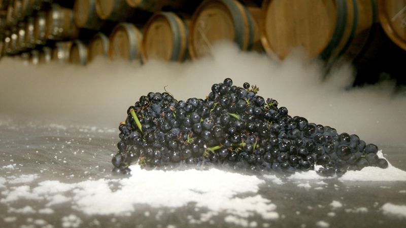 uva negra