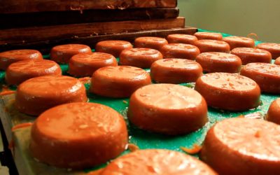 Alimentos de moda, sabores y tendencias en 2017