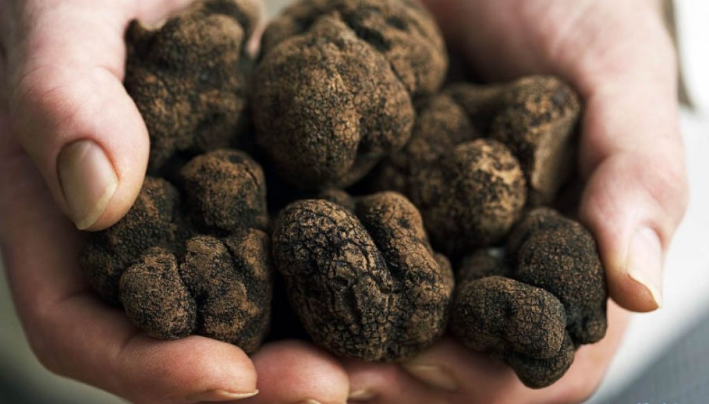 las trufas