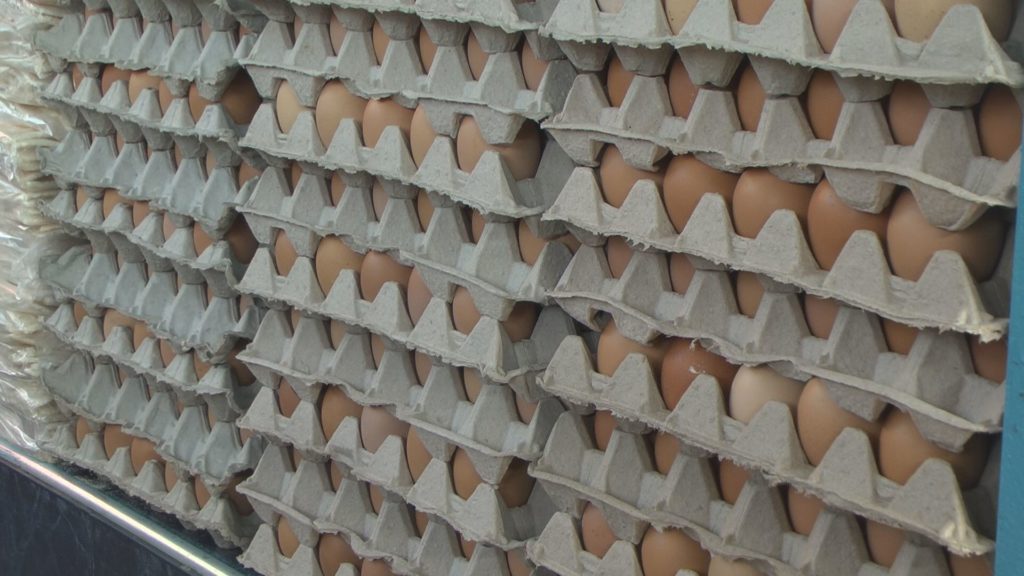 huevos