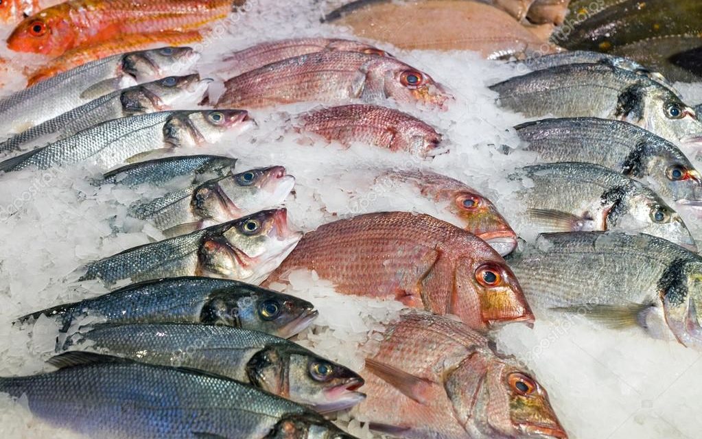 ¿Cuál es el punto perfecto del pescado?