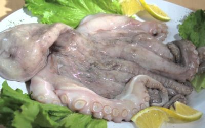 Cómo mantener fresco el pescado en tu restaurante