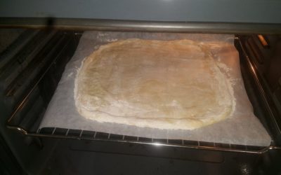 ¿Necesitas una máquina fermentadora? ¿Qué opciones hay?