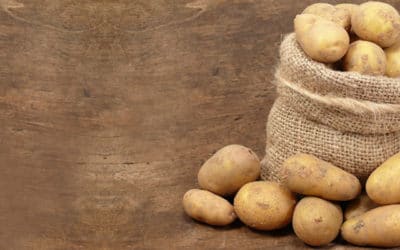 Eligiendo ingredientes: las mejores patatas según su uso