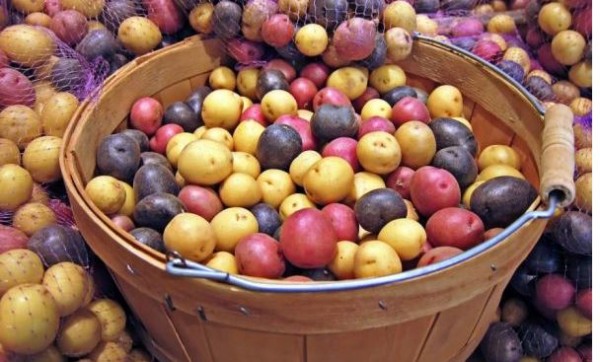 patatas