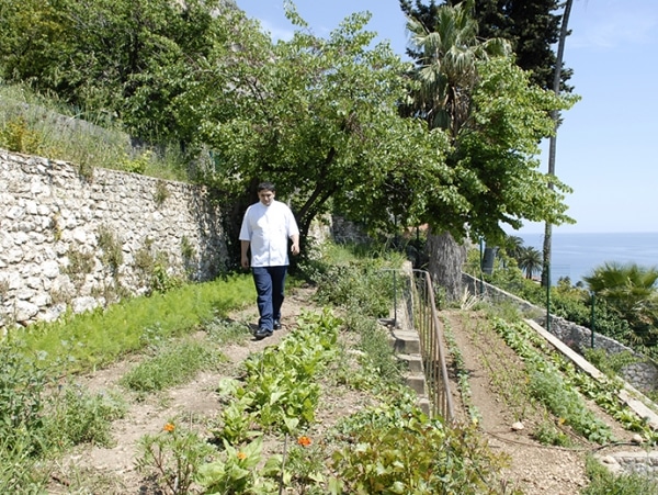 cocinero en huerto