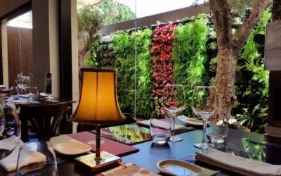 Un huerto en tu restaurante, el encanto de la comida ecológica