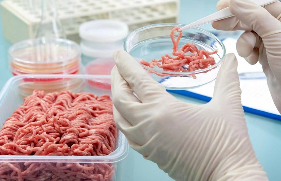 carne de laboratorio 2