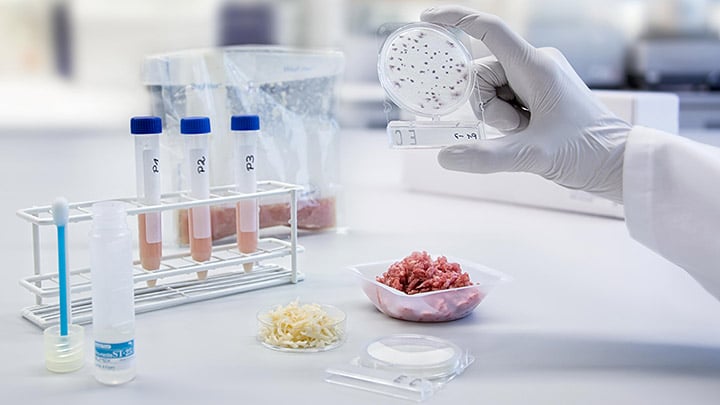 carne de laboratorio 3