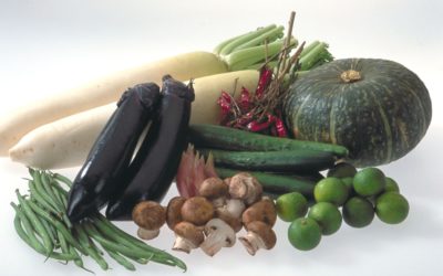 Platos para tu restaurante en otoño