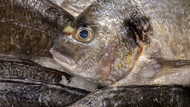 pescado