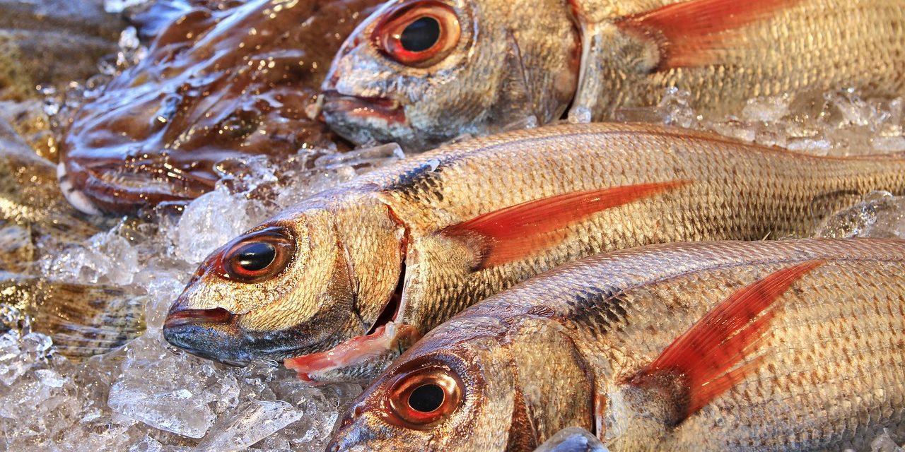 Un recubrimiento artificial para proteger el pescado y hacerlo más duradero