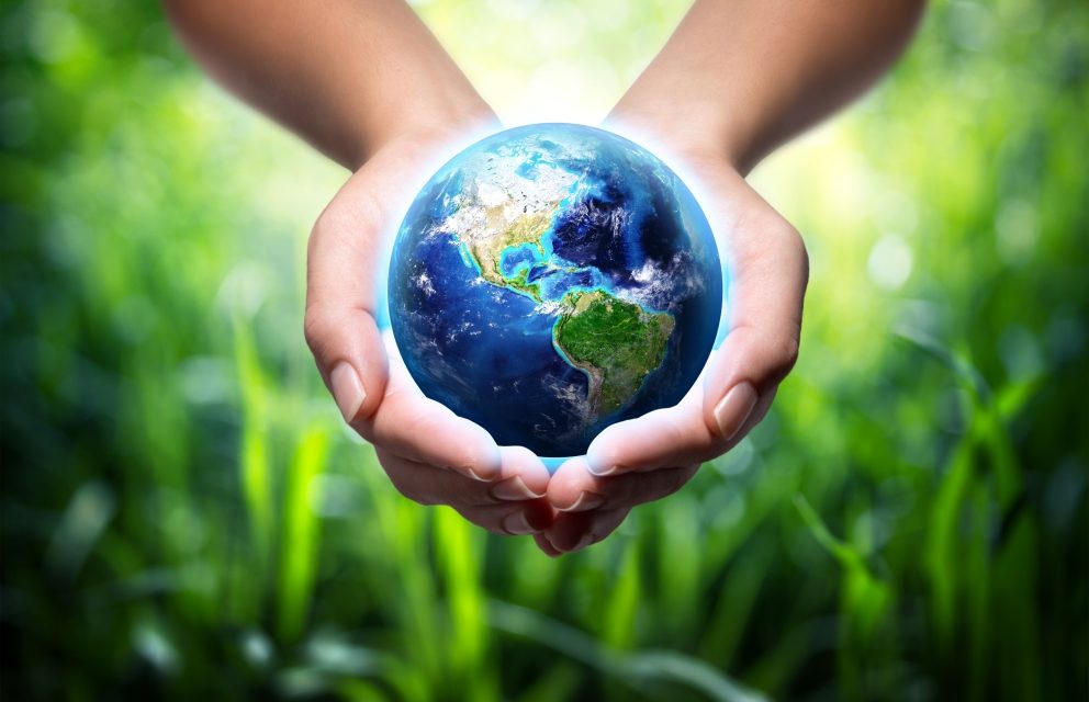 ¿Conoces la dieta planetaria?