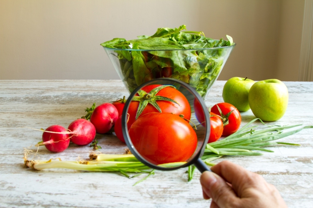 alimentos transgénicos