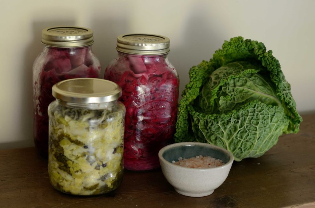 fermentación