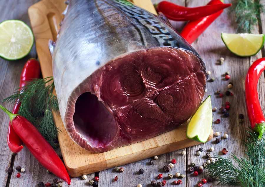 Cortes de atún, diferentes platos de la cocina internacional