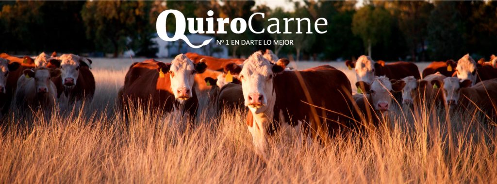 quirocarne