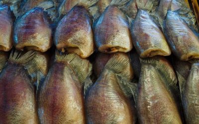 Técnicas de cocina: maduración en seco de pescado