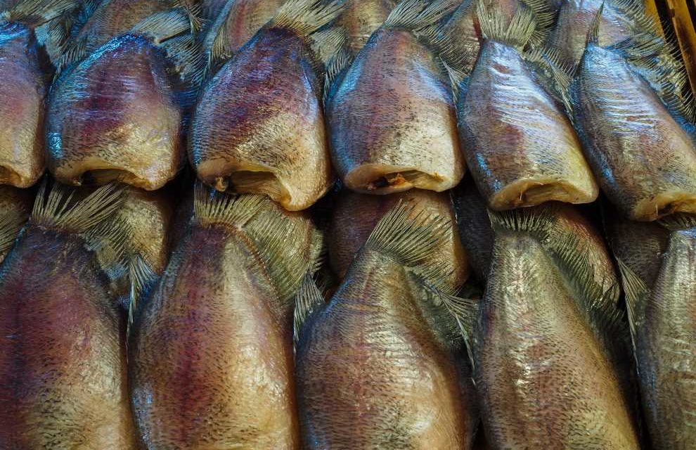 Técnicas de cocina: maduración en seco de pescado