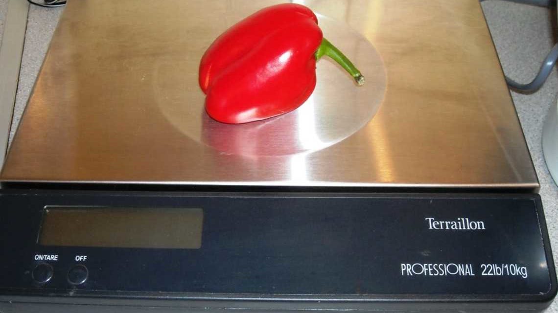 ¿Necesitas una báscula en tu restaurante?