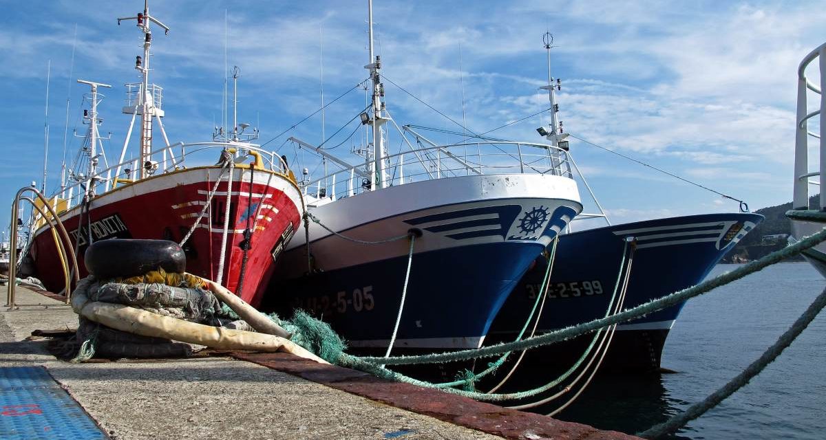 Ayudemos a los mares: evento sobre reforestación marina