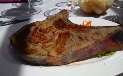 Sierra de huesos y congelados para tu restaurante