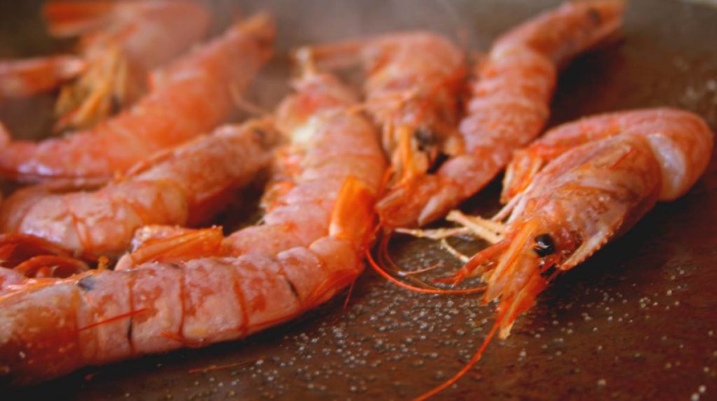 4 recetas de entrantes para tu restaurante 1 Gambas plancha