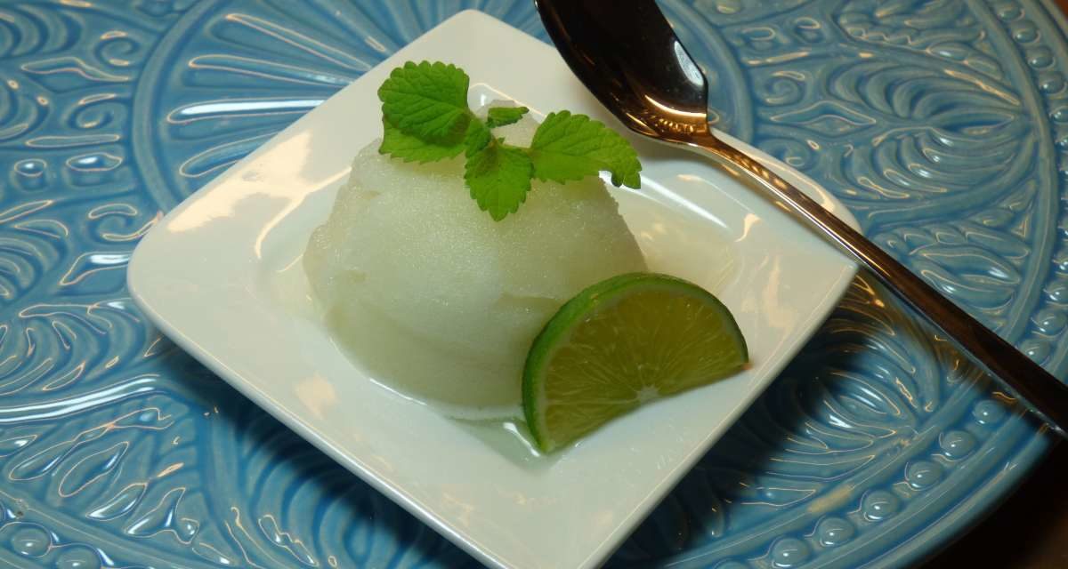 Recetas de sorbetes veraniegos 2022 para la carta de tu restaurante