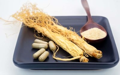 Cocina ecológica, la huerta de Simón Rogan