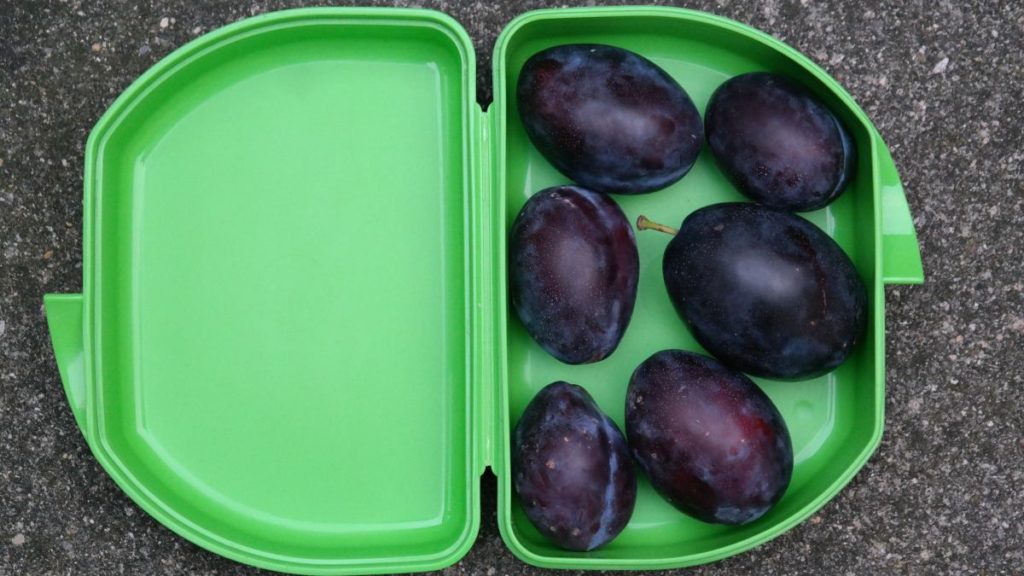 ¿Cómo elegir desechables para tu restaurante? 1 Comida para llevar