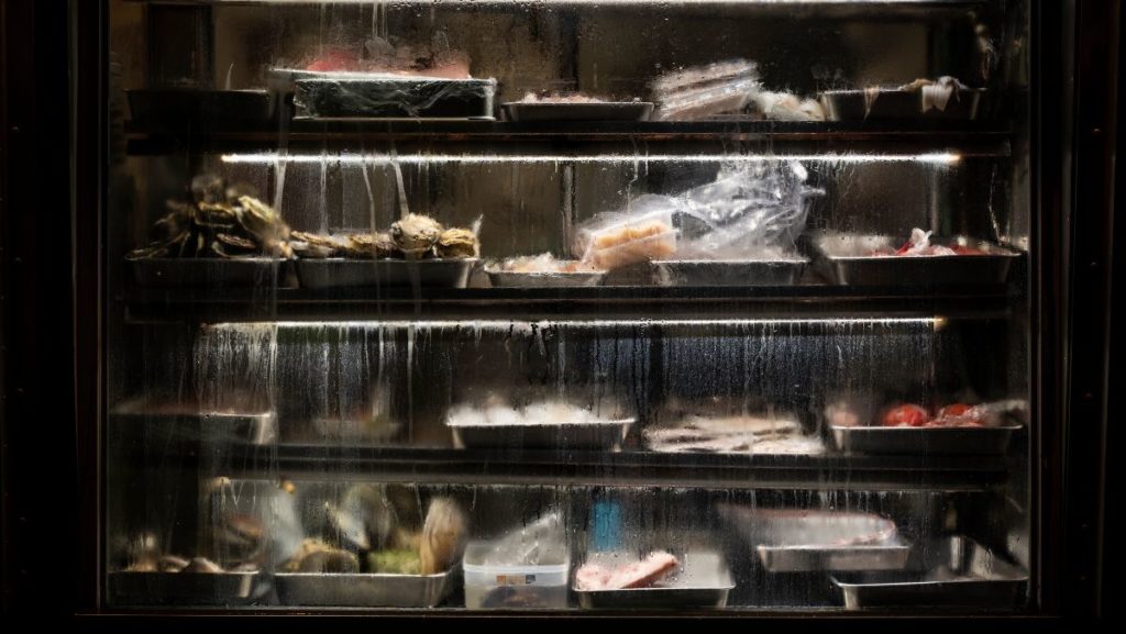 ¿Qué es la cadena de frío de los alimentos? 1 Cámaras frigoríficas