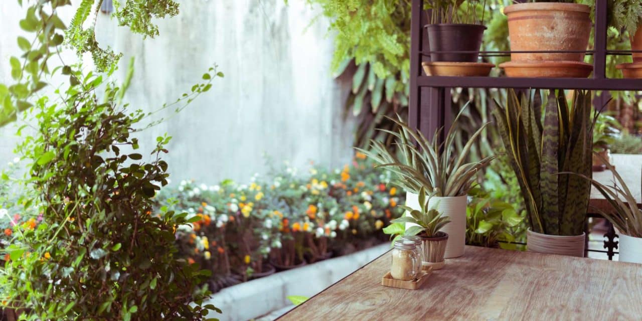 Tendencias en la gestión sostenible de restaurantes: cómo ser eco-friendly sin comprometer la calidad y rentabilidad 