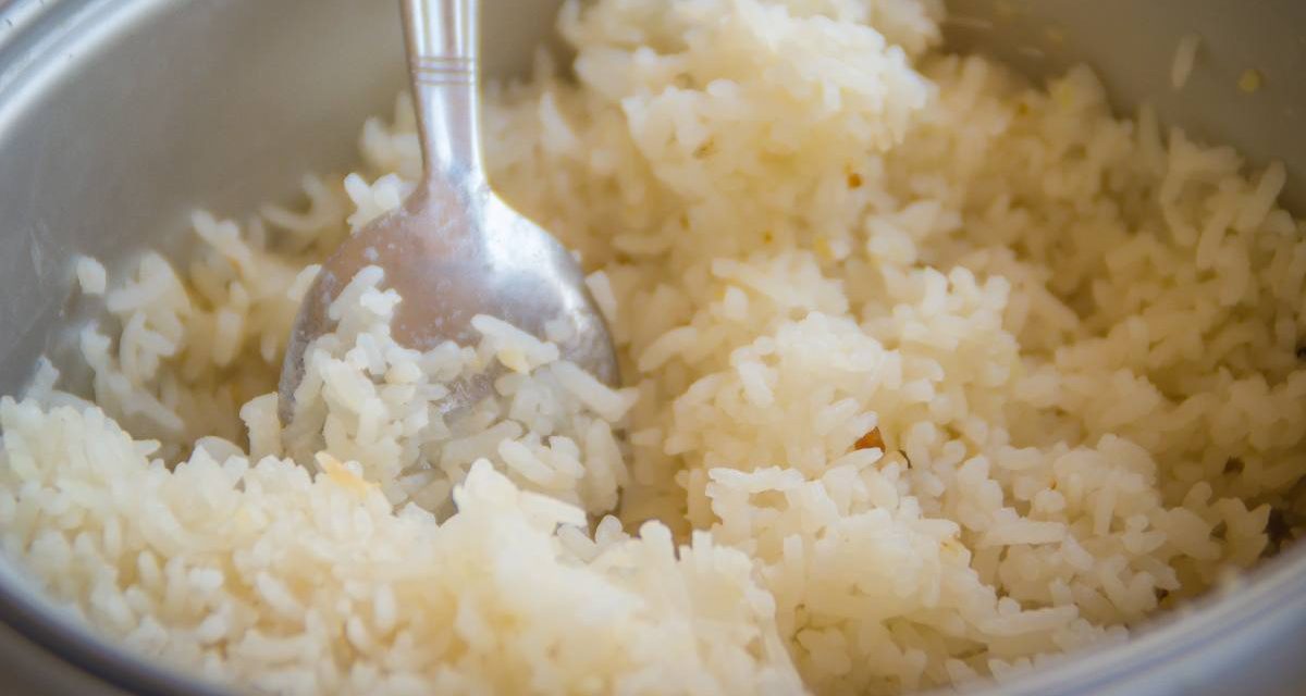 Maquinaria rápida de cocina: eligiendo cocedor de arroz