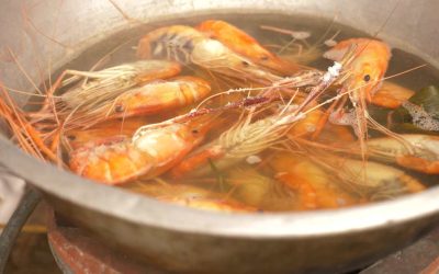 Maquinaria para tu restaurante: el cocedor de pescado y marisco