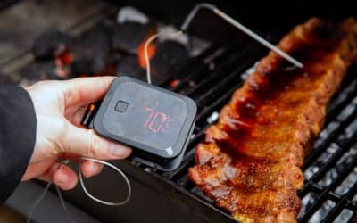 Termómetros de cocina, cómo elegir
