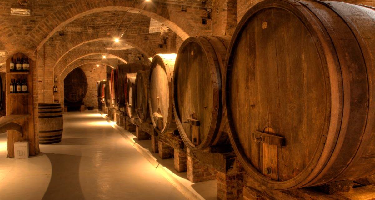 Los vinos españoles más exquisitos: una ruta por las mejores bodegas del país