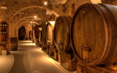 Los vinos españoles más exquisitos: una ruta por las mejores bodegas del país