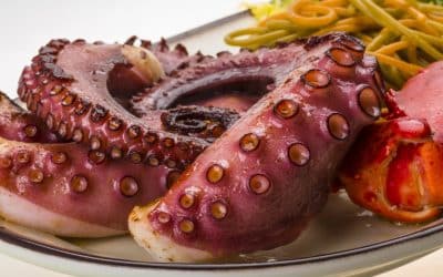 El pulpo en la carta de tu restaurante