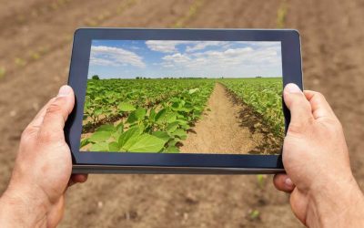 Agricultura celular y posibilidades para la hostelería