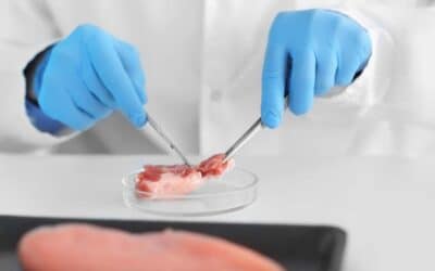 Carne cultivada en restaurantes: ¿Cuándo llegará realmente?